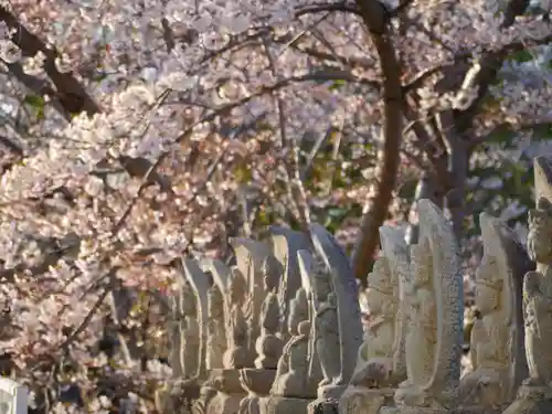 極楽山　浄土寺の仏像