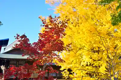 葛飾八幡宮(千葉県)