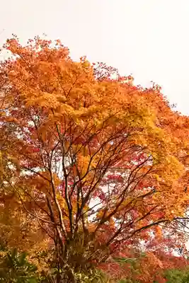 金剛寺(高知県)