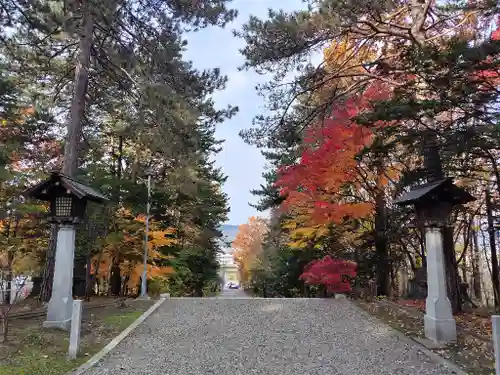 上川神社の景色