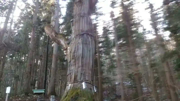 志和稲荷神社のその他建物