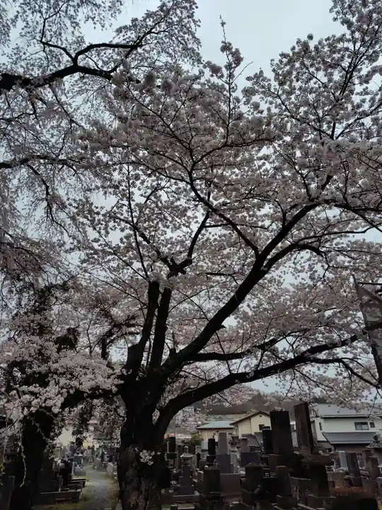 妙徳寺(福島県)