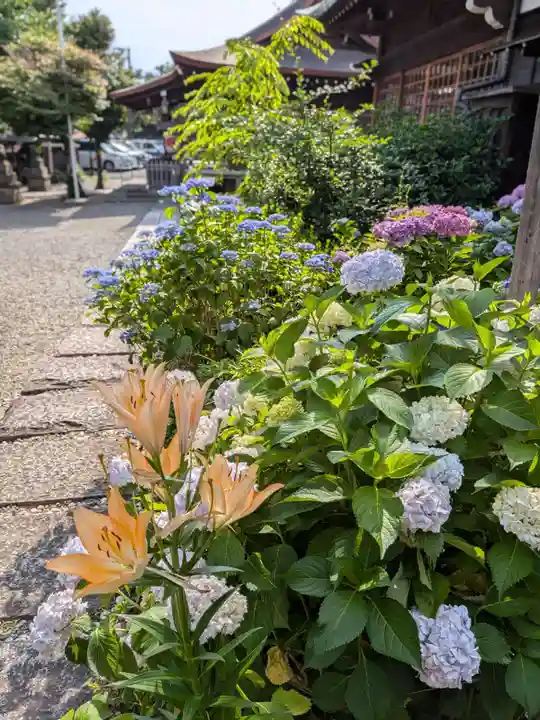 本郷氷川神社(東京都)