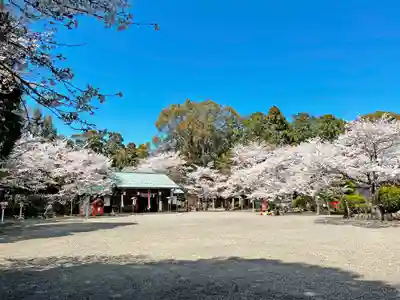 小津神社のその他建物