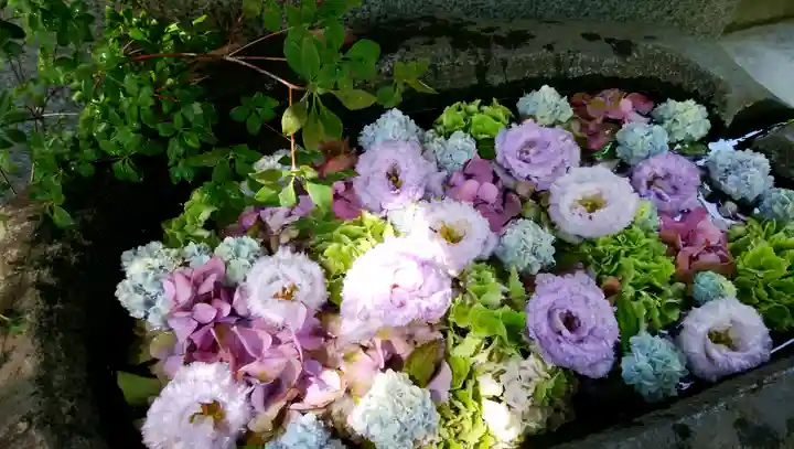 手稲神社の手水舎