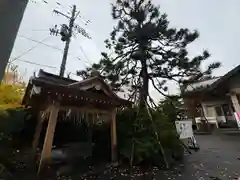 廣田神社～病厄除守護神～(青森県)