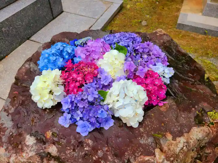 千光寺(福岡県)