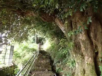 金剱神社の自然