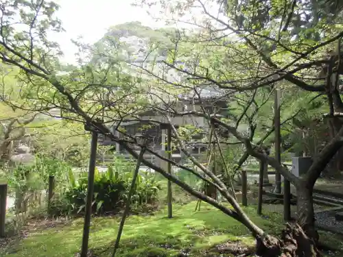 安國論寺（安国論寺）の自然
