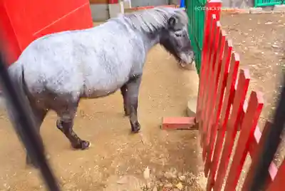 神田神社（神田明神）(東京都)