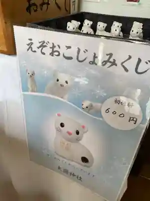 大國神社のおみくじ