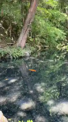 涌釜神社(栃木県)