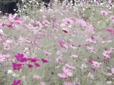 阿邪訶根神社(福島県)