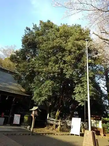 小平神明宮の庭園