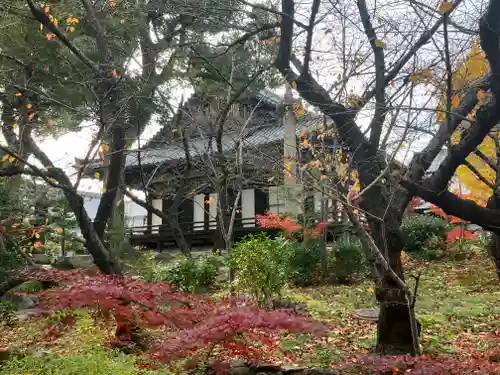 四天王寺(大阪府)