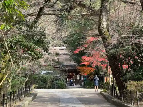 宇治上神社(京都府)
