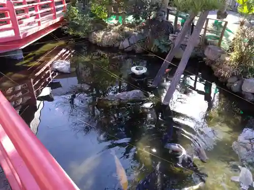 今泉八坂神社(栃木県)