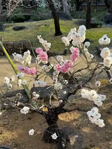 湯島天満宮の{uncategorized: "未分類", other: "その他", undefined: "問題あり", building: "その他建物", grave: "お墓", sacred_gate: "鳥居", guardian: "狛犬", statue: "像", buddha: "仏像", history: "歴史", nature: "自然", garden: "庭園", animal: "動物", pagoda: "塔", temizu: "手水舎", mountain_gate: "山門・神門", sanctuary: "本殿・本堂", subordinate: "末社・摂社", art: "芸術", scenery: "景色", jizo: "地蔵", ema: "絵馬", goshuin: "御朱印", omikuji: "おみくじ", items: "授与品その他", amulet: "お守り", goshuincho: "御朱印帳", eats: "食事", festival: "お祭り", votive_dance: "神楽", shichigosan: "七五三参", wedding: "結婚式", experience: "体験その他", initially: "初詣", around: "周辺", anti_infection: "感染症対策"}