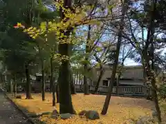 若宮神明社の庭園