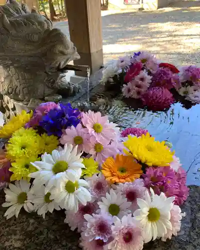 滑川神社 - 仕事と子どもの守り神の手水