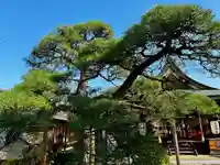 御霊神社(奈良県)