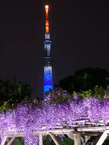 亀戸天神社の景色