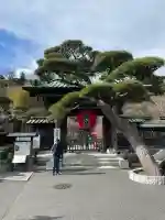 長谷寺の{uncategorized: "未分類", other: "その他", undefined: "問題あり", building: "その他建物", grave: "お墓", sacred_gate: "鳥居", guardian: "狛犬", statue: "像", buddha: "仏像", history: "歴史", nature: "自然", garden: "庭園", animal: "動物", pagoda: "塔", temizu: "手水舎", mountain_gate: "山門・神門", sanctuary: "本殿・本堂", subordinate: "末社・摂社", art: "芸術", scenery: "景色", jizo: "地蔵", ema: "絵馬", goshuin: "御朱印", omikuji: "おみくじ", items: "授与品その他", amulet: "お守り", goshuincho: "御朱印帳", eats: "食事", festival: "お祭り", votive_dance: "神楽", shichigosan: "七五三参", wedding: "結婚式", experience: "体験その他", initially: "初詣", around: "周辺", anti_infection: "感染症対策"}