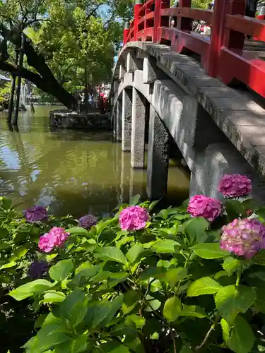 太宰府天満宮の庭園