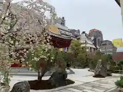 太融寺の建物その他