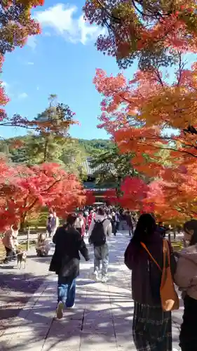 南禅寺(京都府)