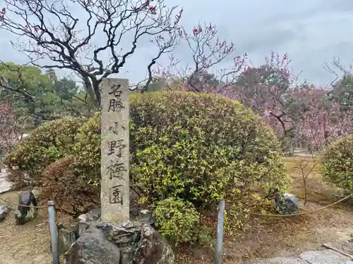隨心院（随心院）(京都府)