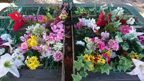 鹿島御児神社の手水舎