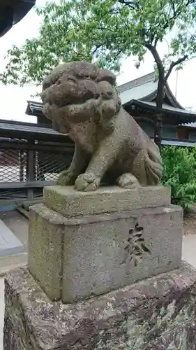 須賀神社の狛犬