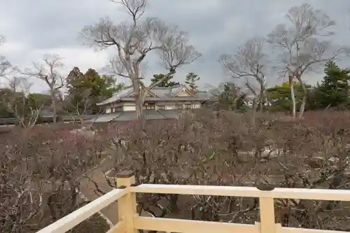 北野天満宮の庭園