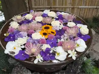 武蔵一宮氷川神社(埼玉県)