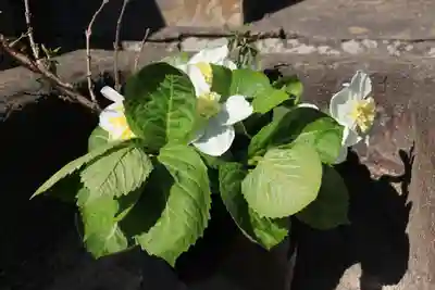 熊野福藏神社の手水舎