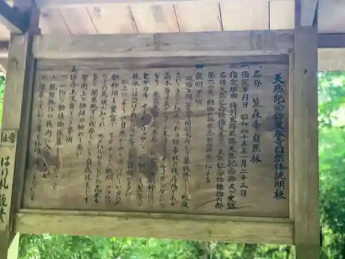 笠森寺の歴史