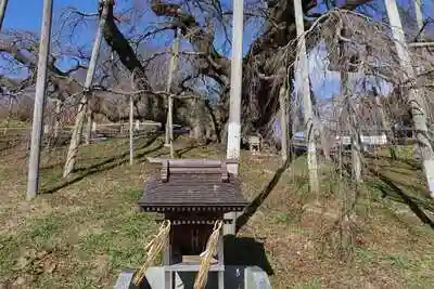 瀧桜神明宮の本殿