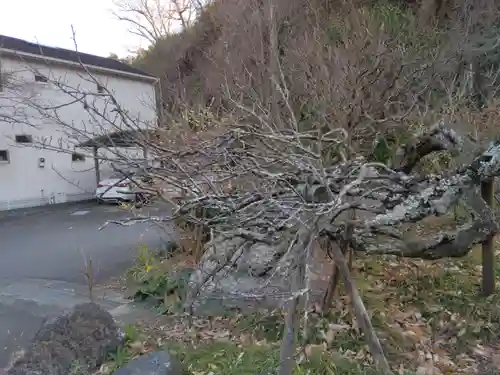 光則寺(神奈川県)