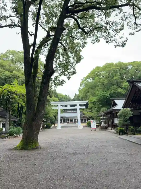 宮崎縣護國神社(宮崎県)
