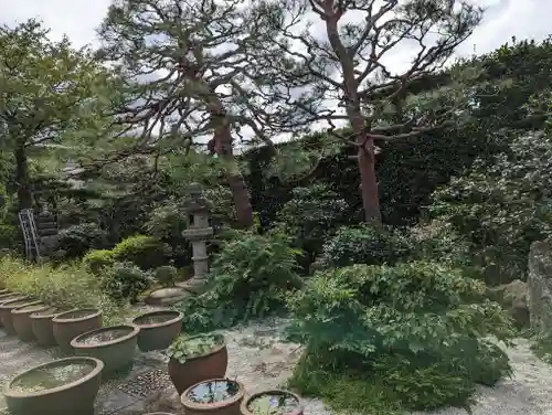 常光院(京都府)