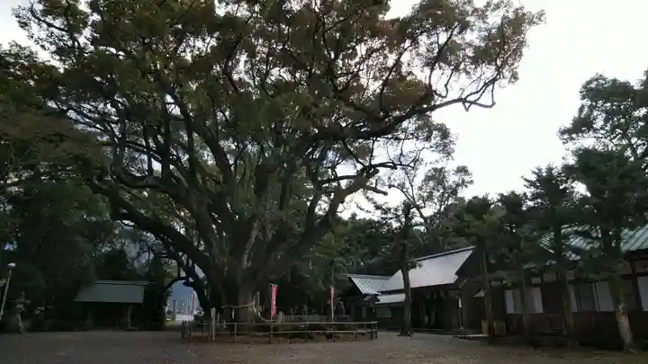 伊曽乃神社のその他建物