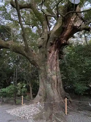 月夜見宮（豊受大神宮別宮）(三重県)