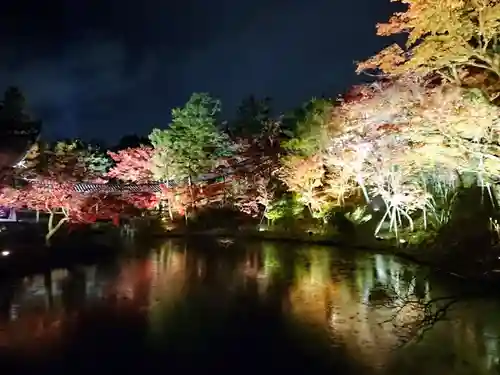 高台寺（高台寿聖禅寺・高臺寺）の自然