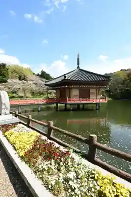 安倍文殊院 (奈良県)