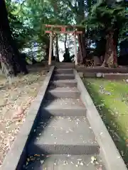 開運招福 飯玉神社(群馬県)