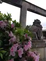福井神社(福井県)