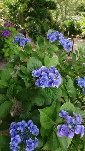 楽法寺（雨引観音）の自然
