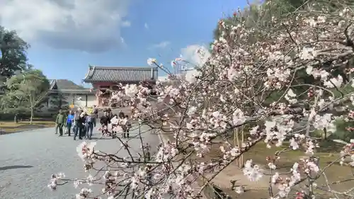 仁和寺の庭園