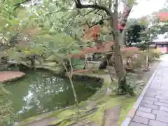 唐招提寺の庭園